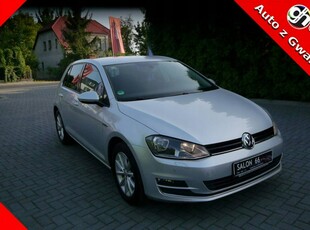 Volkswagen Golf VII Hatchback 3d 1.6 TDI BlueMotion 110KM 2015