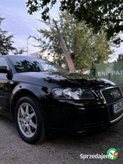 Audi A3 8P (2003-2012)