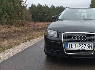 Audi A3 8P