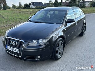 Audi A3 8P*LIFT*5D*2.0TDI**