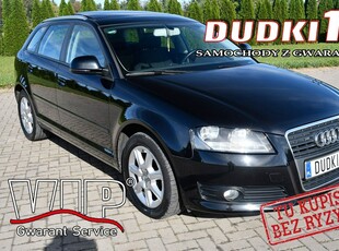 Audi A3 II (8P) 1.8Turbo DUDKI11 Serwis,Klimatr 2 str.Panorama Dach.kredyt.OKAZJA