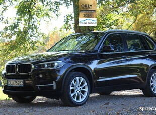 BMW X5 2.0d 4x4 218PS Automat Navi Salon Polska