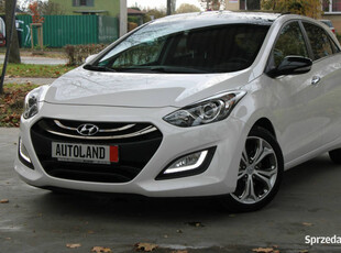 Hyundai i30 Org.lakier-PANORAMA-Kamera-Klimatronik-Serwis-GWARANCJA!!! II …