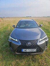 Lexus UX 200 GPF F Impression 2WD