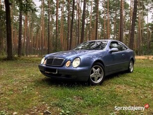 Mercedes CLK 230 Kompressor 197KM w208 MANUAL stan BDB prywatne OC PT 05.25