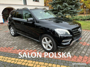 Mercedes ML 350 3.0 V6 258 KM Pneumatyka Elektryczna klapa Bixenony ILS W1…