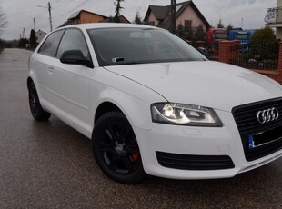 Audi A3 1.6 Ambiente