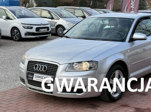 Audi A3 II (8P)