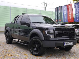 Ford F-Seria XII