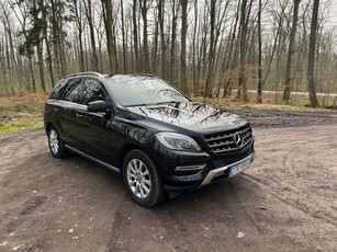 Mercedes-Benz ML 350 BlueTec 4-Matic