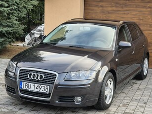 Audi A3 II (8P) 2007r, 1.9TDI 105KM, Org. Lakier, Nowy Rozrząd, Nowy Dwumas