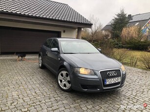 Audi A3 8P