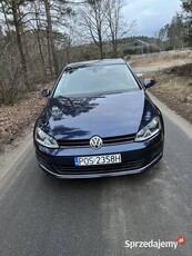 Golf 7