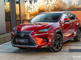 Lexus NX 300h 197 KM E-FOUR Executive Line, 2018, Hybryda 4x4 - FV23%