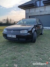 Mini Passat, Volkswagen Golf