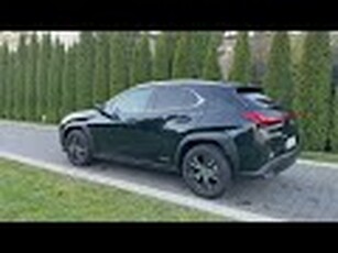 Używany Lexus UX 2020