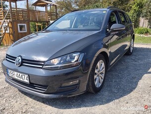 VW Golf 1.6 TDI 110KM BLUEMOTION