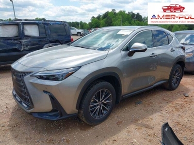 Lexus NX II 2024