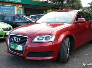 Audi A3 1,4 T 125 KM Bogata Wersja 8P (2003-2012)