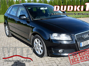 Audi A3 1.8Turbo DUDKI11 Serwis,Klimatr 2 str.Panorama Dach.kredyt.OKAZJA …