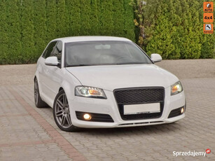 Audi A3 S-Line QUATTRO 4 x 4 8P (2003-2012)