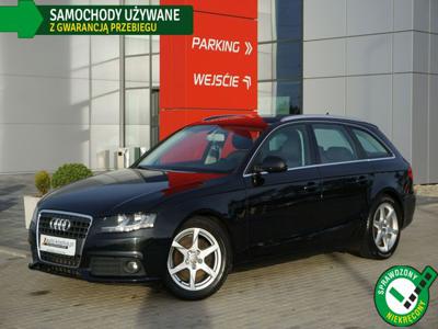 Audi A4 170KM! Navi, Czujniki, Grzane fotele, Tempomat, GWARANCJA, Bezwypadek B8 (2007-2015)