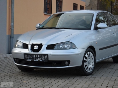 SEAT Ibiza IV