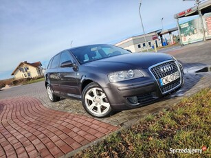 Audi A3 8P lift 1.9 tdi 5 drzwi