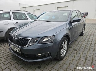 Skoda Octavia 1,6 TDI Ambition, chatchback, ASO, bezwypadkowy, rozrząd