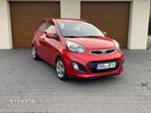 Używany Kia Picanto 2013