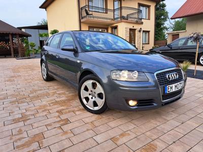 Używane Audi A3 - 18 900 PLN, 225 000 km, 2006