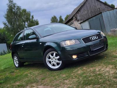 Używane Audi A3 - 12 900 PLN, 239 000 km, 2003