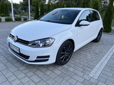 Używane Volkswagen Golf - 31 900 PLN, 308 200 km, 2013