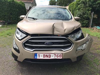 Używane Ford EcoSport - 32 900 PLN, 61 164 km, 2018