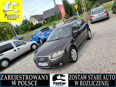 Używane Audi A3 - 19 900 PLN, 261 000 km, 2007