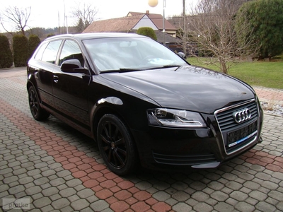 Audi A3 II (8P) 1.9TDI 105KM 5drzwi