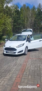 Ford Fiesta van 1.5d