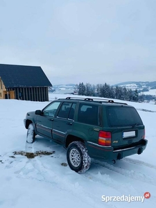 Jeep Grand Cherokee 1995 5.2 V8 Orvis