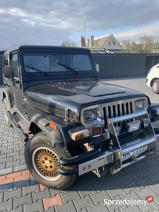 Jeep Wrangler 2.5 benzyna+ LPG 115KM 4X4 1988r