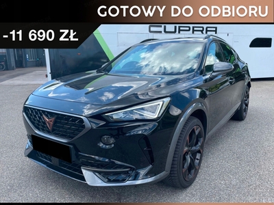 Cupra 2024