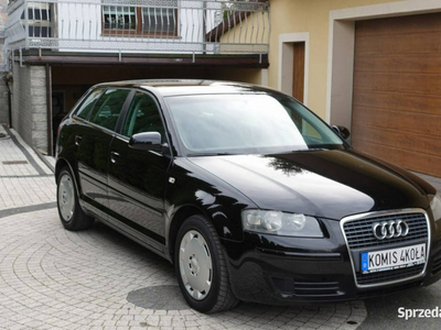 Audi A3 1.6 8V - Climatronic - Super Stan - GWARANCJA - Zakup Door To Door…