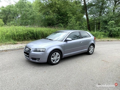 Audi A3 8P 1.9 TDI 105km BEZ DPF