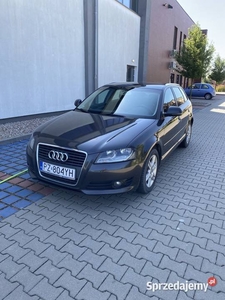 Audi A3 w jednych rękach 3 lata stan BDB 1.9TDI 105 km