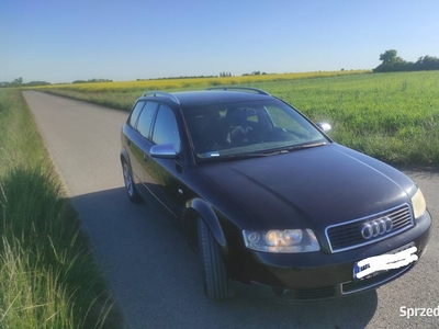 Audi a4 b6 bdv