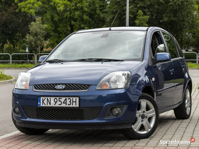 Ford Fiesta 1.2_Benzyna_75 KM_102 tyś. km Mk6 (2002-2008)