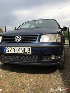 Volkswagen Polo niski przebieg