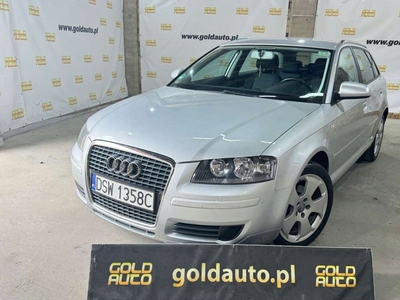 Audi A3 8P Hatchback 3d 1.9 TDI 105KM 2005