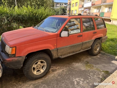 Auto terenowe jeep