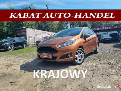 Ford Fiesta Salon Pl - I WŁ - INSTALACJA GAZOWA - 1.4 16V - Klima -Alu- B.…