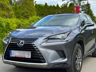 Lexus NX I 2018